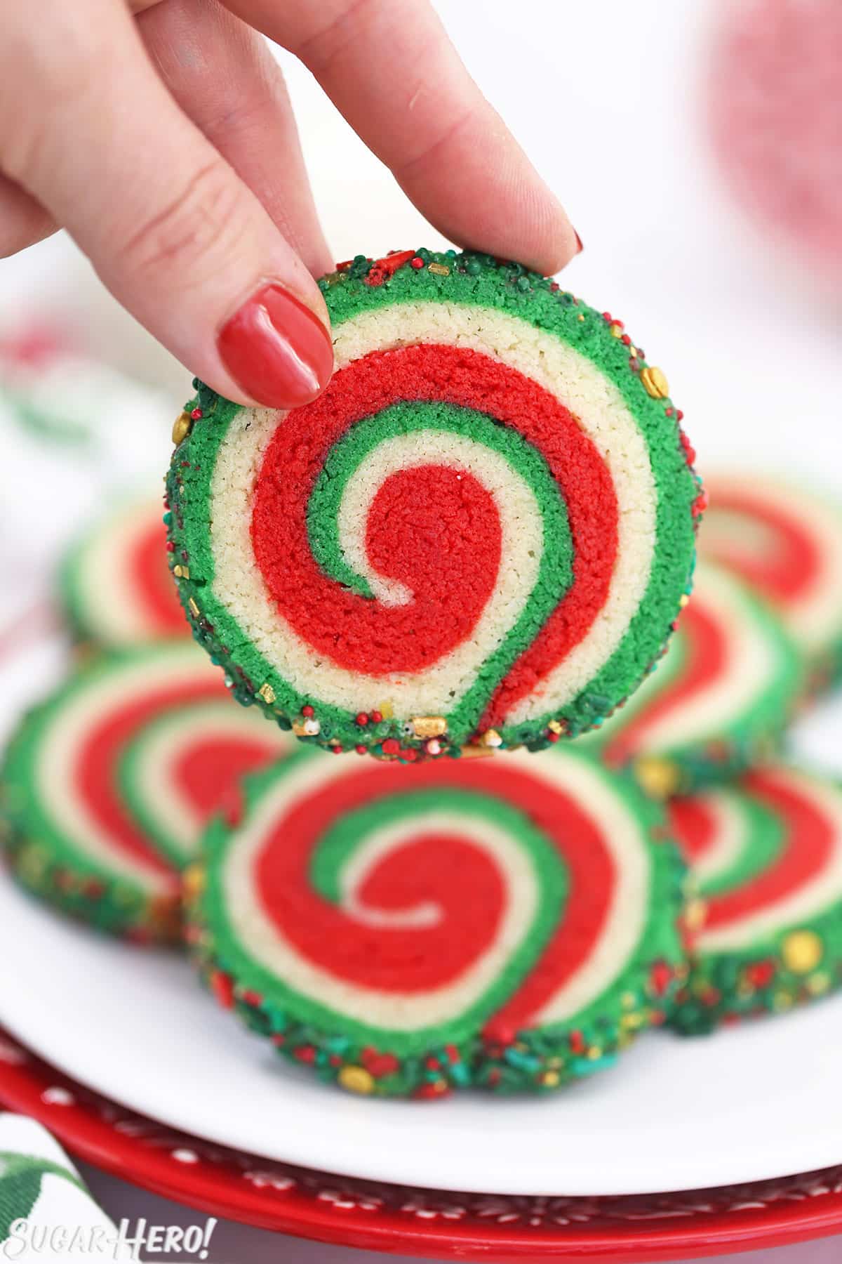 Hand holding up a red, white, and green pinwheel sugar cookie.