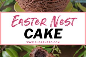 Two photo collage of an Easter Nest Cake with text overlay for Pinterest.