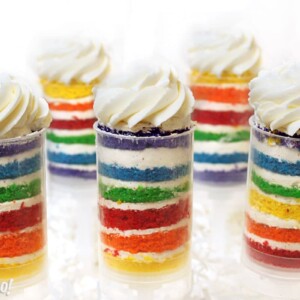 Fie Rainbow Cake Push-Up Pops in front of a white background.