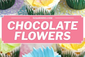 Two photo collage of Chocolate Flower Cupcakes with text overlay for Pinterest.