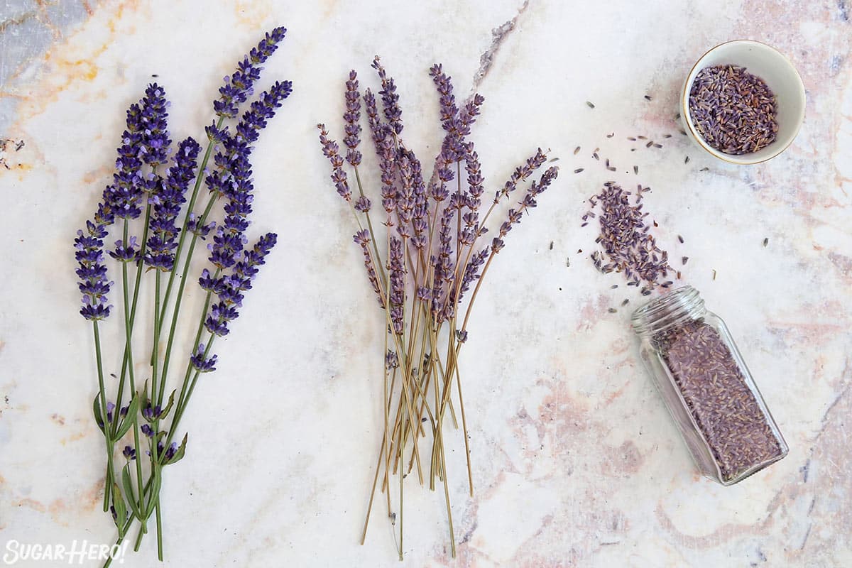 Baking with Lavender: All About Culinary Lavender - SugarHero