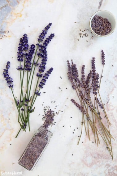 Overhead shot of culinary lavender in 3 different stages (fresh, dried, removed from stalk) on marble background.