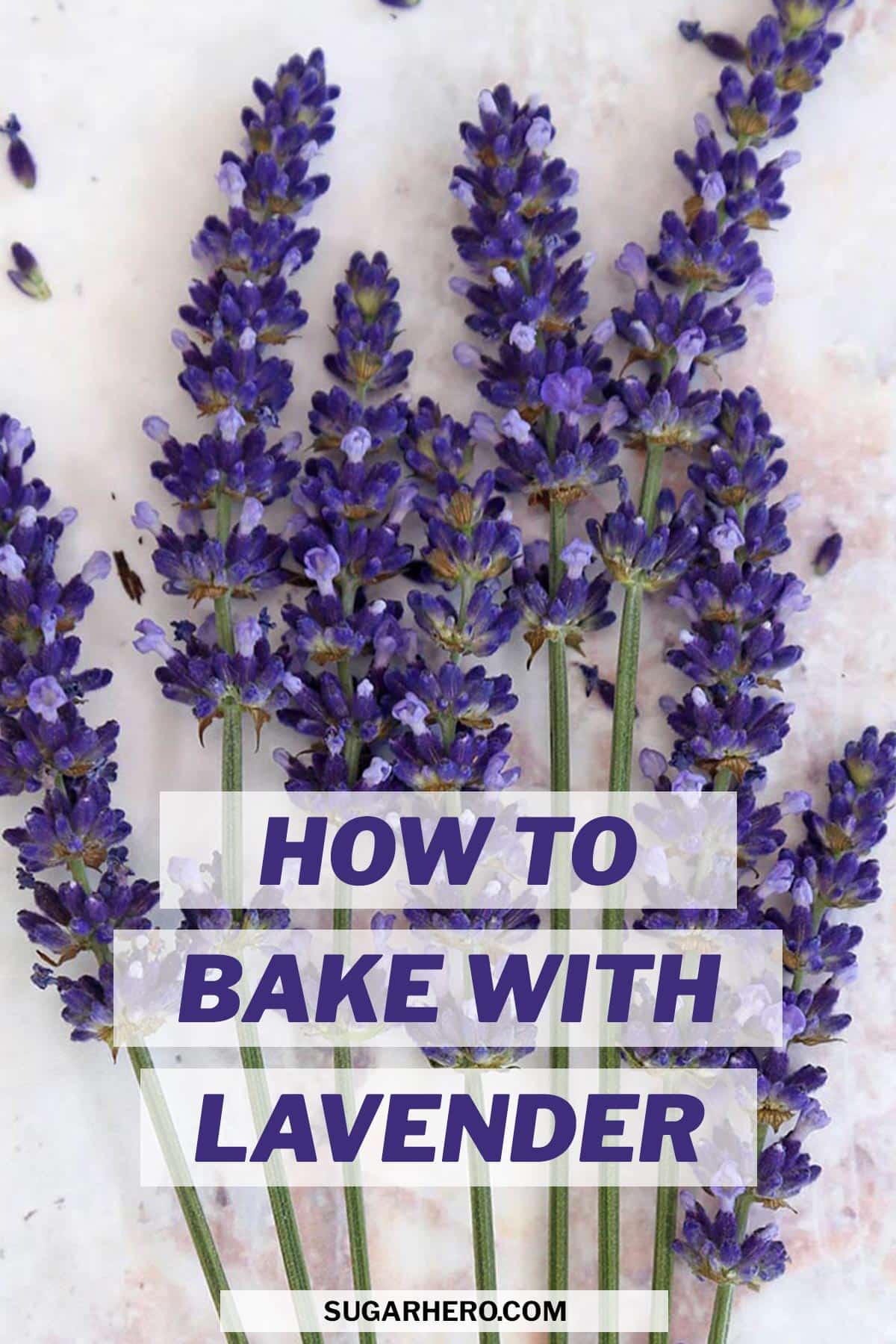 Baking with Lavender All About Culinary Lavender SugarHero