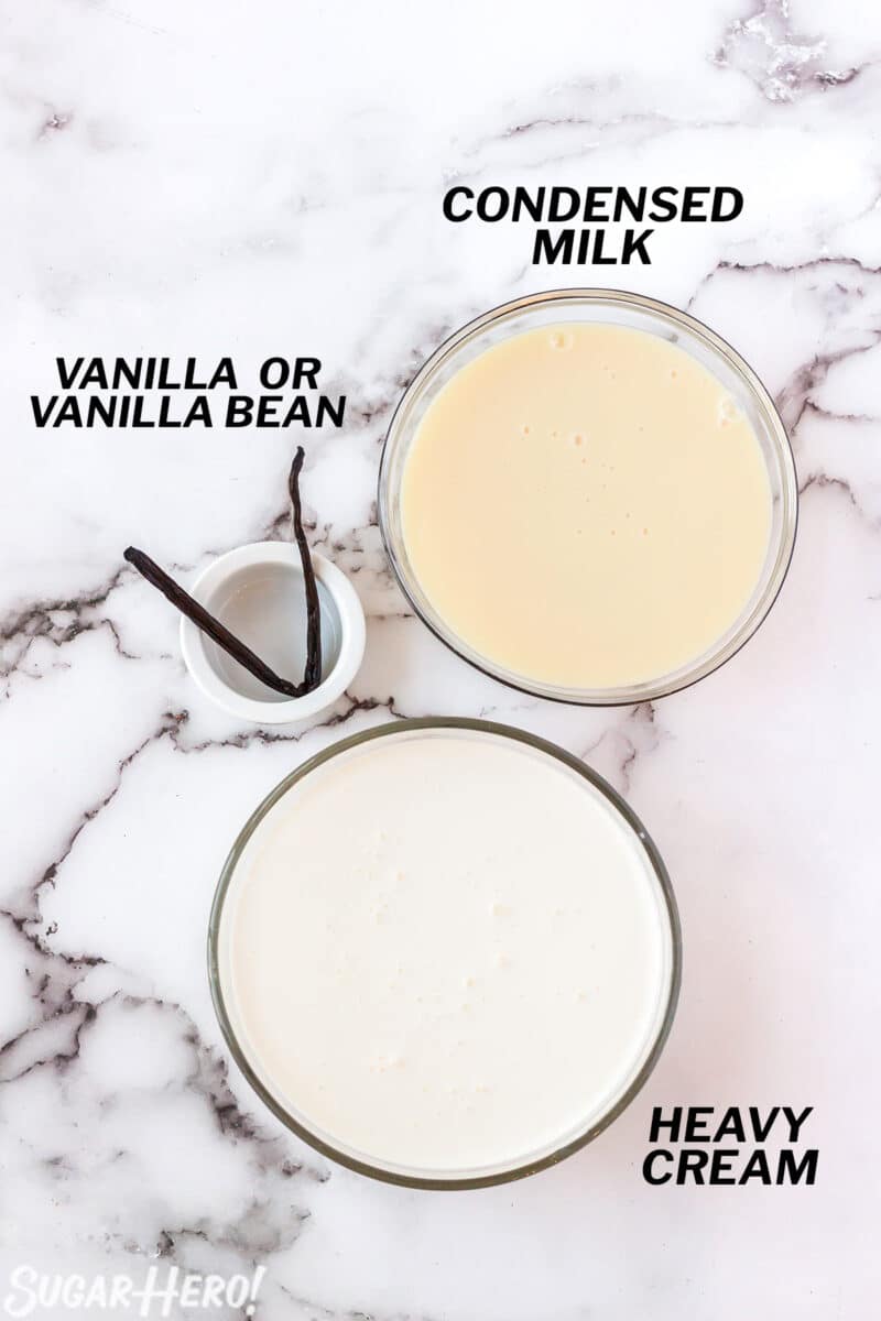 Overhead shot of ingredients needed to make Easy Vanilla Ice Cream.