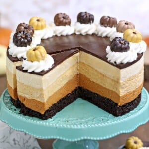 Pumpkin Chocolate Mousse Cake on an aqua colored cake stand.