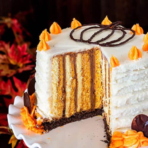 Cake with vertical layers of pumpkin and chocolate, frosted with white buttercream and cut open on a cake stand.