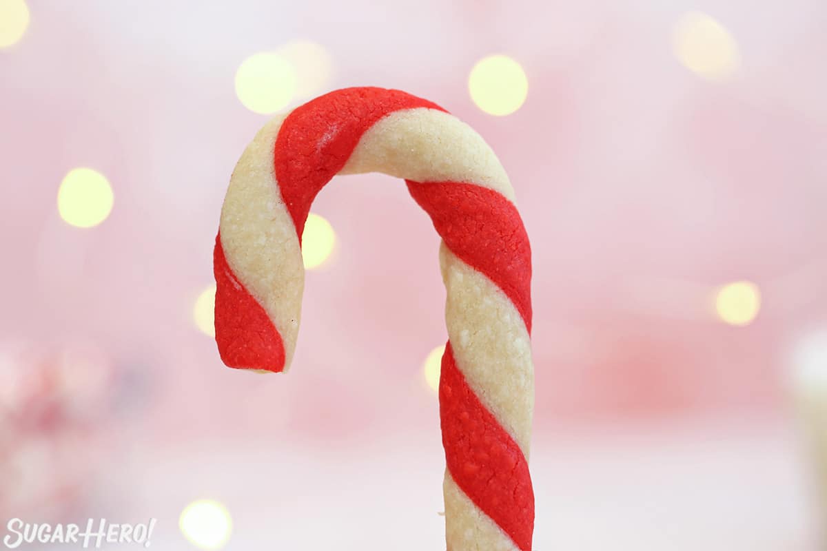 Close-up of a Candy Cane Cookie in front of a pink background with twinkle lights.