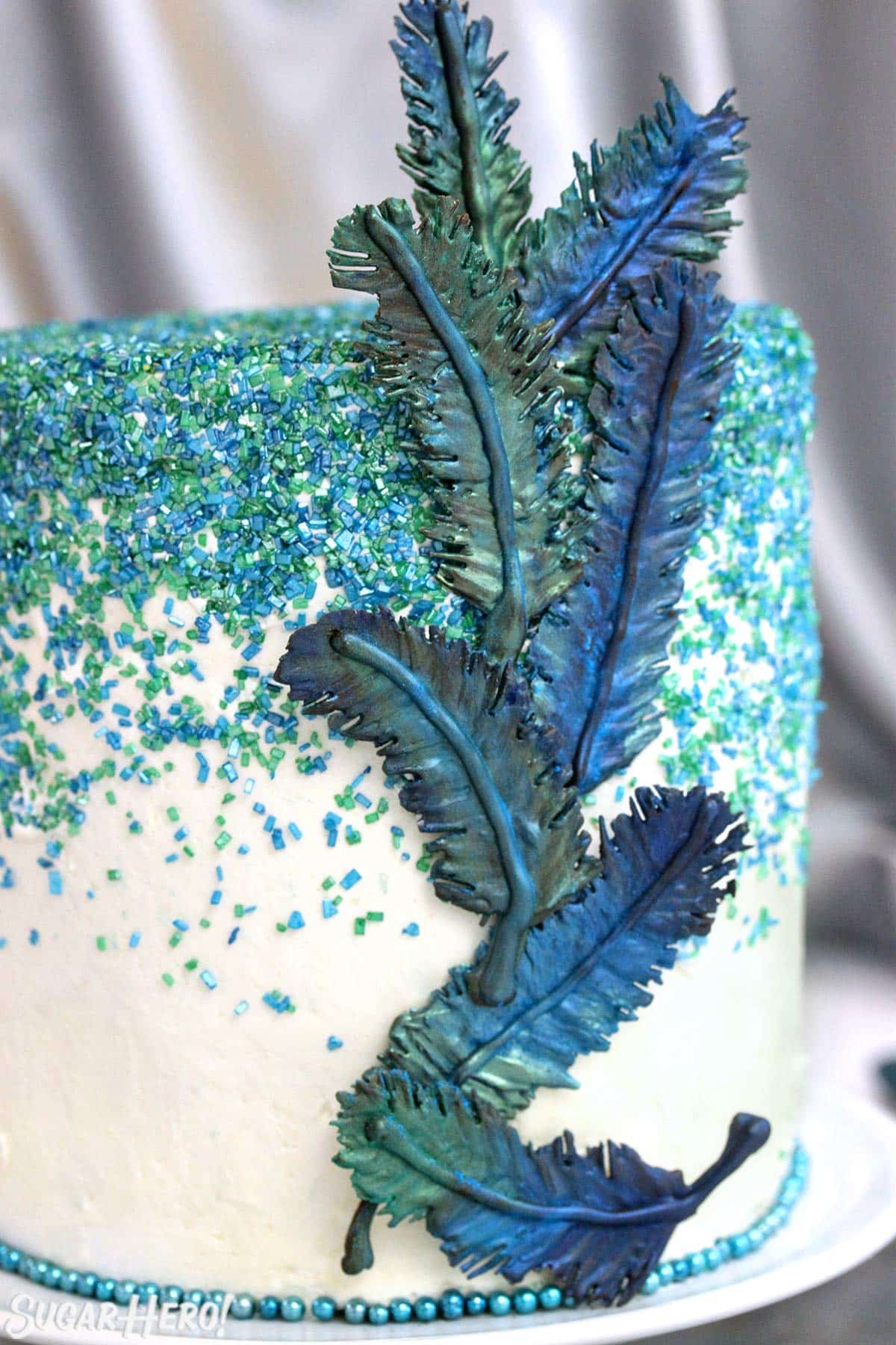 Cake with blue and green sprinkles and chocolate feather decorations.