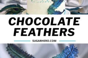Photo of Chocolate Feathers with text overlay for Pinterest.