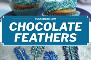 Photo of Chocolate Feathers with text overlay for Pinterest.