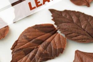 Photo of Chocolate Leaves with text overlay for Pinterest.