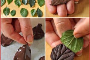 Six photo collage showing how to make Chocolate Leaves.
