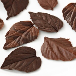 Variety of dark and milk chocolate leaves on a white plate.