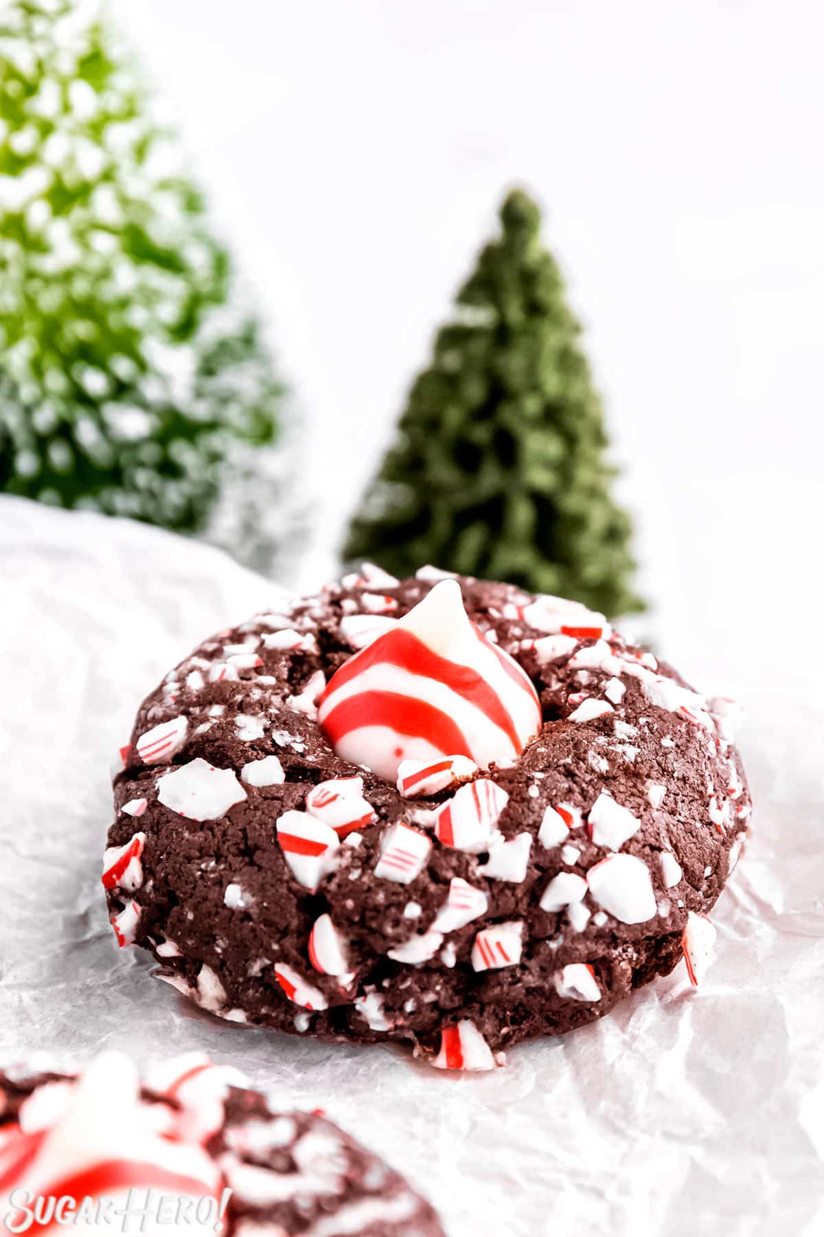 Close up of a Chocolate Peppermint Kiss Cookie with evergreen trees in the background.