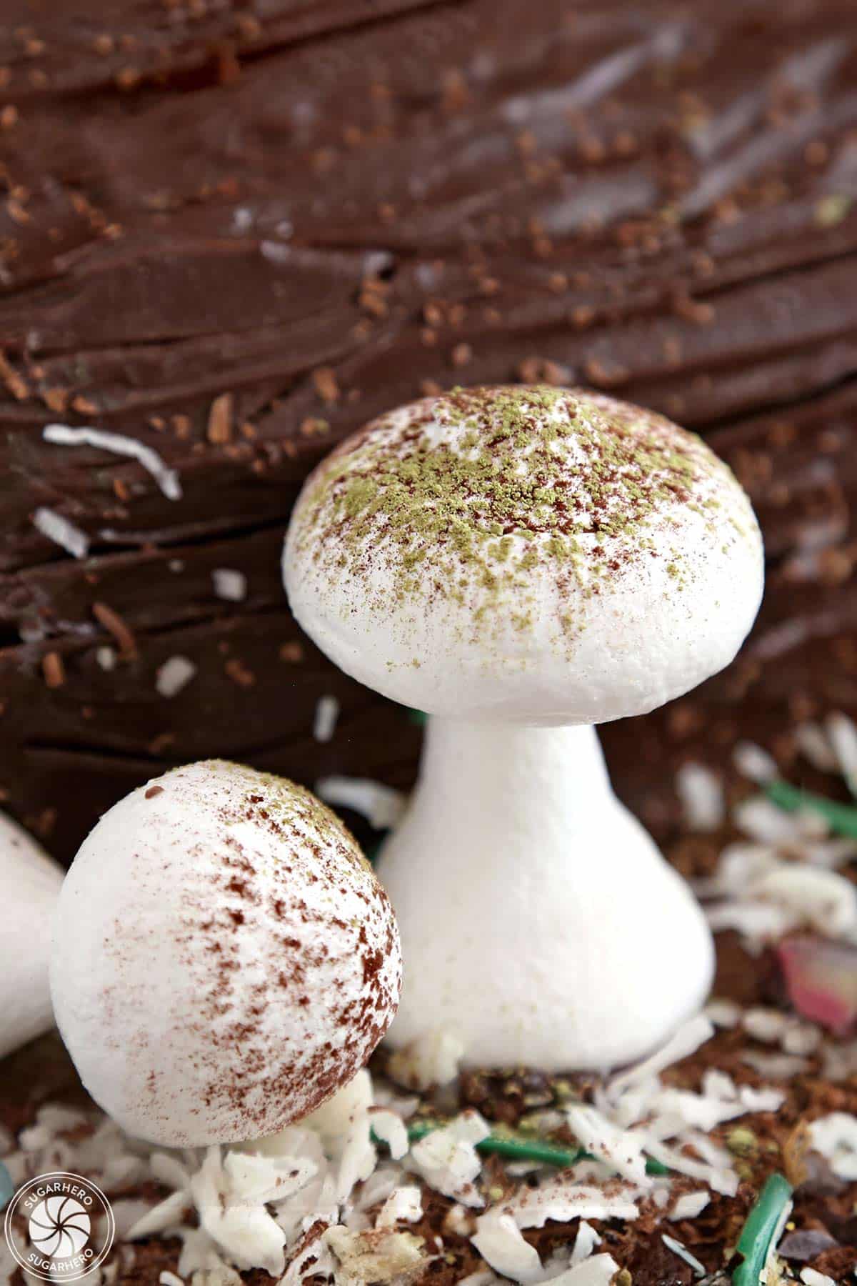 Close up of 2 Meringue Mushrooms.