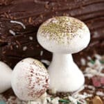 Close up of 2 Meringue Mushrooms.