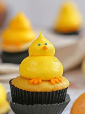 Close up of a Baby Chick Cupcake on a marble surface.