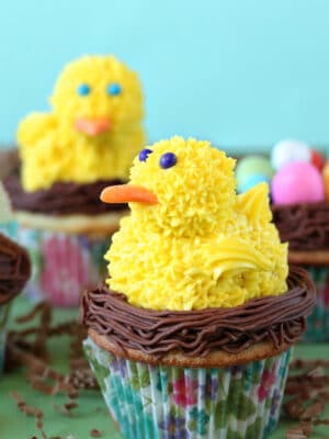 Close up of a Spring Chick Cupcake.