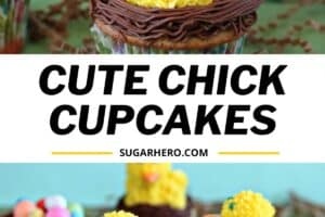 2 photo of Spring Chick Cupcakes with text overlay for Pinterest.