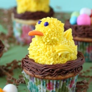 Close up of a Spring Chick Cupcake.