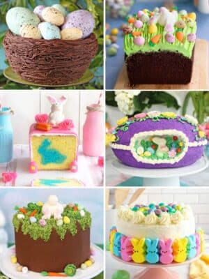 Photo collage featuring 6 cute Easter Cakes.