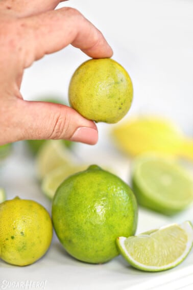 Hand holding a small key lime above an assortment of key limes and regular limes.