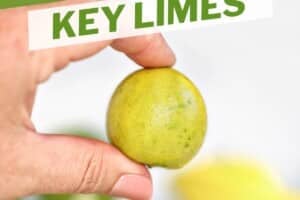 Photo of hand holding a key lime between fingers, with text overlay for Pinterest.