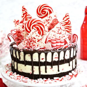 Layered Candy Cane Chocolate Mousse Cake with red and white striped candies on top.