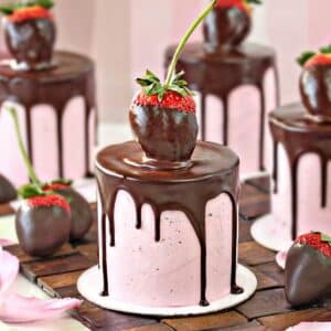 Chocolate-Covered Strawberry Cakes with strawberries on top.